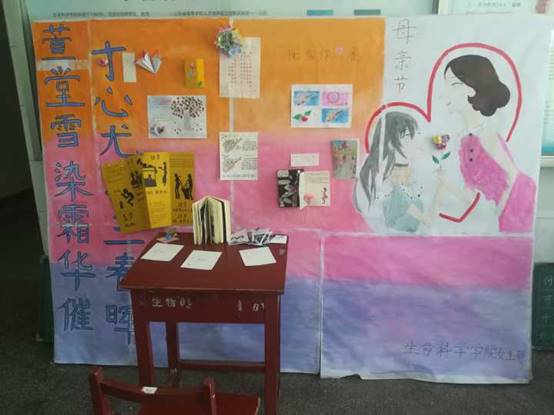 体球网手机比分