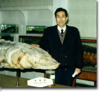 体球网手机比分