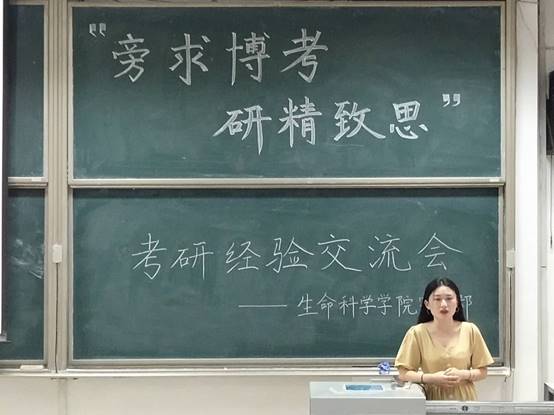 体球网手机比分