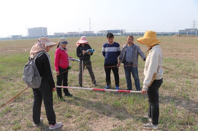 体球网手机比分