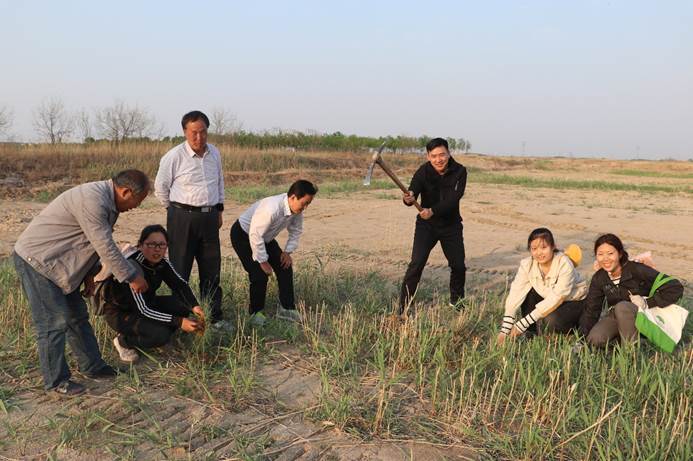 体球网手机比分