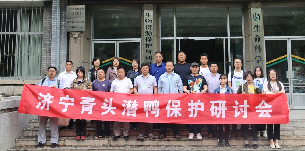 体球网手机比分