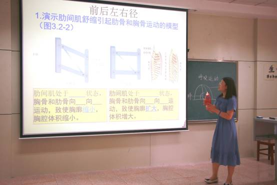 体球网手机比分