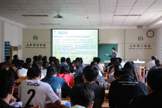 体球网手机比分