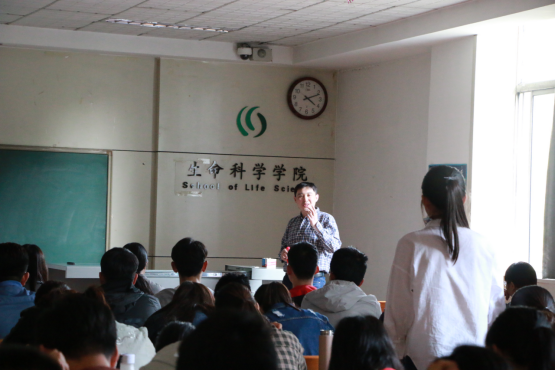 体球网手机比分