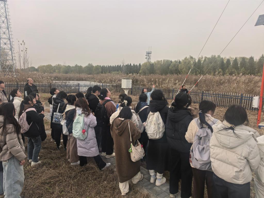 体球网手机比分