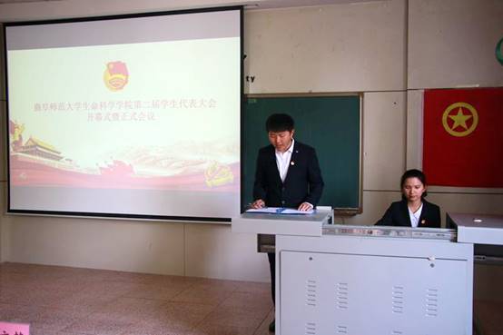 体球网手机比分