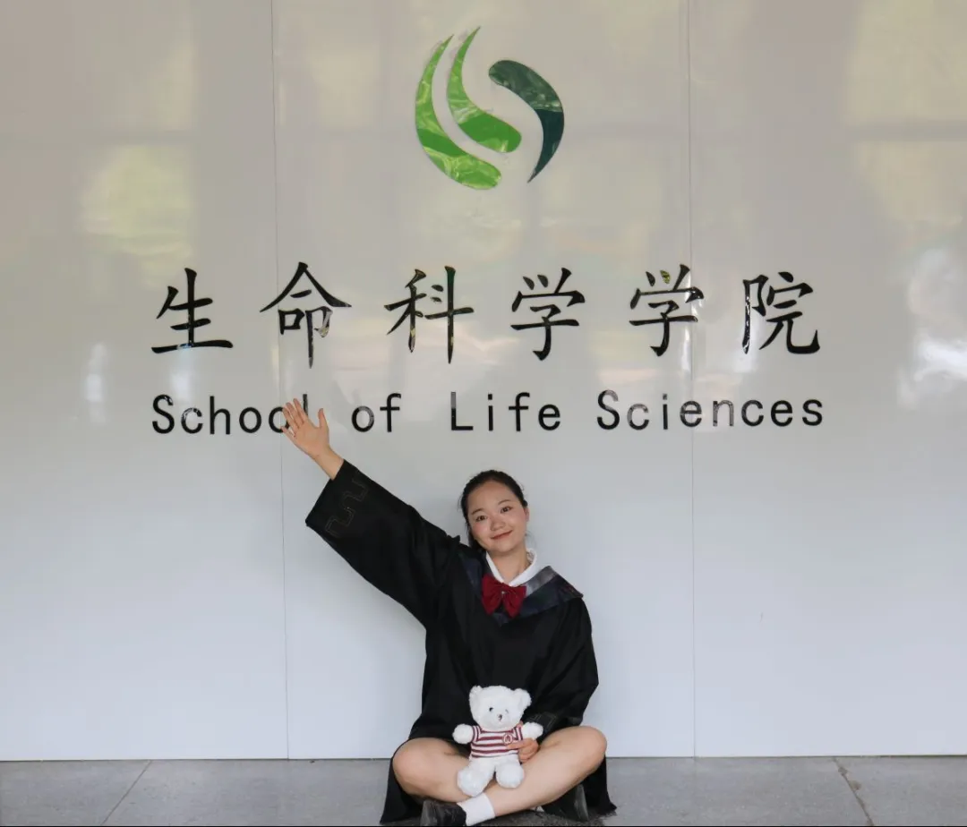 体球网手机比分