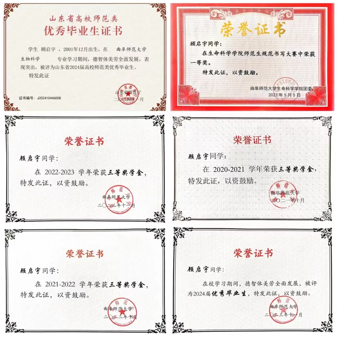 体球网手机比分