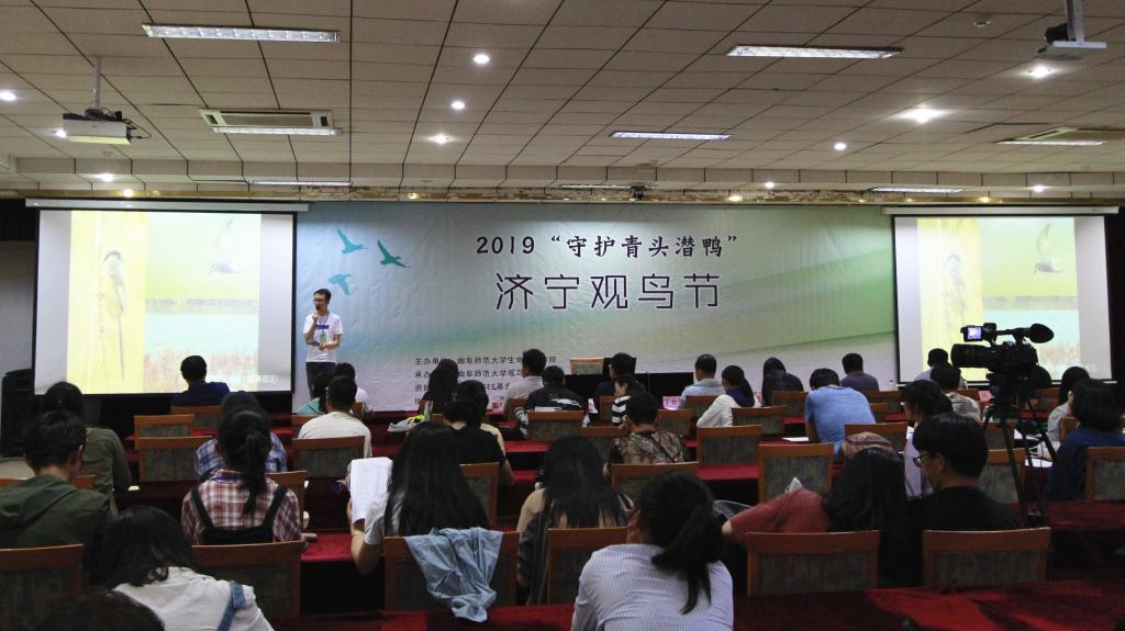 体球网手机比分