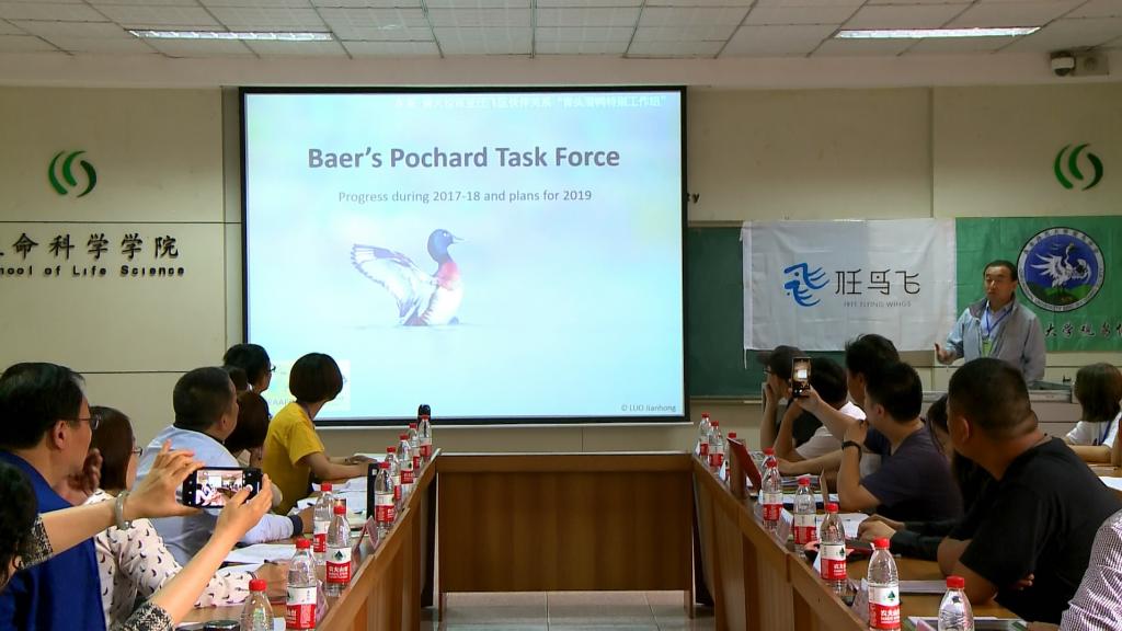 体球网手机比分