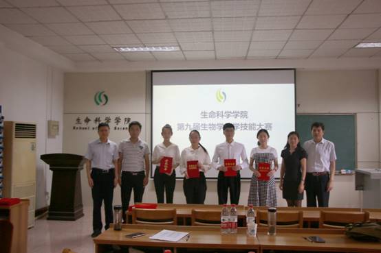 体球网手机比分