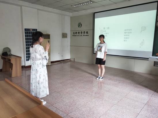 体球网手机比分