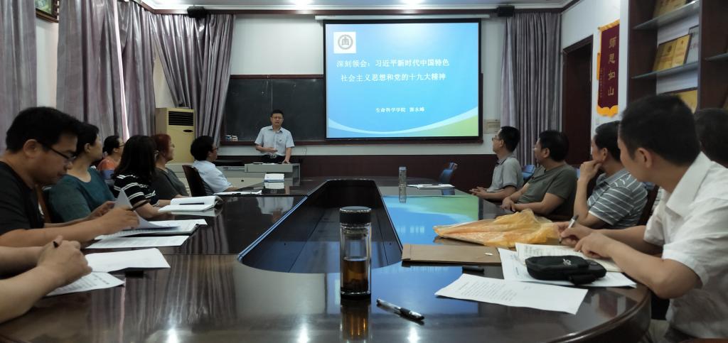 体球网手机比分