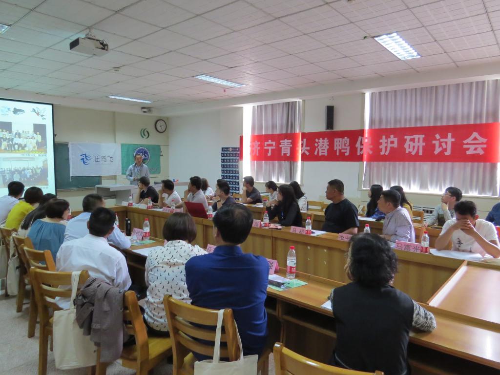 体球网手机比分