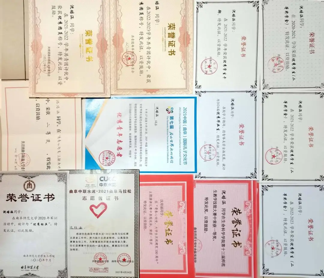 体球网手机比分