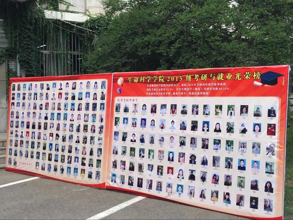 体球网手机比分