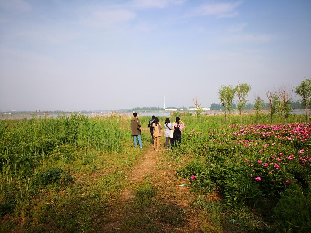 体球网手机比分